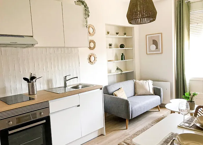 Apartamento L'elegant - Beau Avec Vue Sarthe - Gare - Tram - Centre