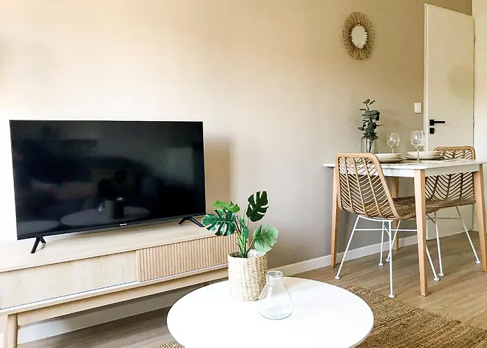 L'élégant - Beau Avec Vue Sarthe - Gare - Tram - Centre Appartamento