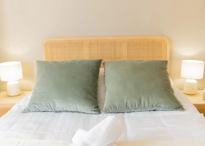 L'elegant - Beau Avec Vue Sarthe - Gare - Tram - Centre *